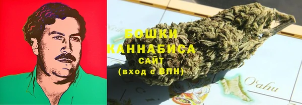 эйфоретик Арсеньев