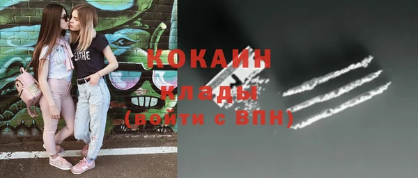 эйфоретик Арсеньев