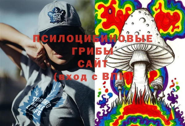 эйфоретик Арсеньев