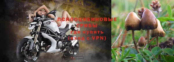 дмт Аркадак