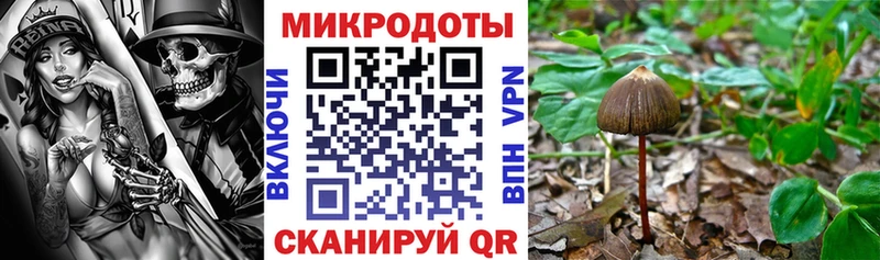 Псилоцибиновые грибы ЛСД  Оха 